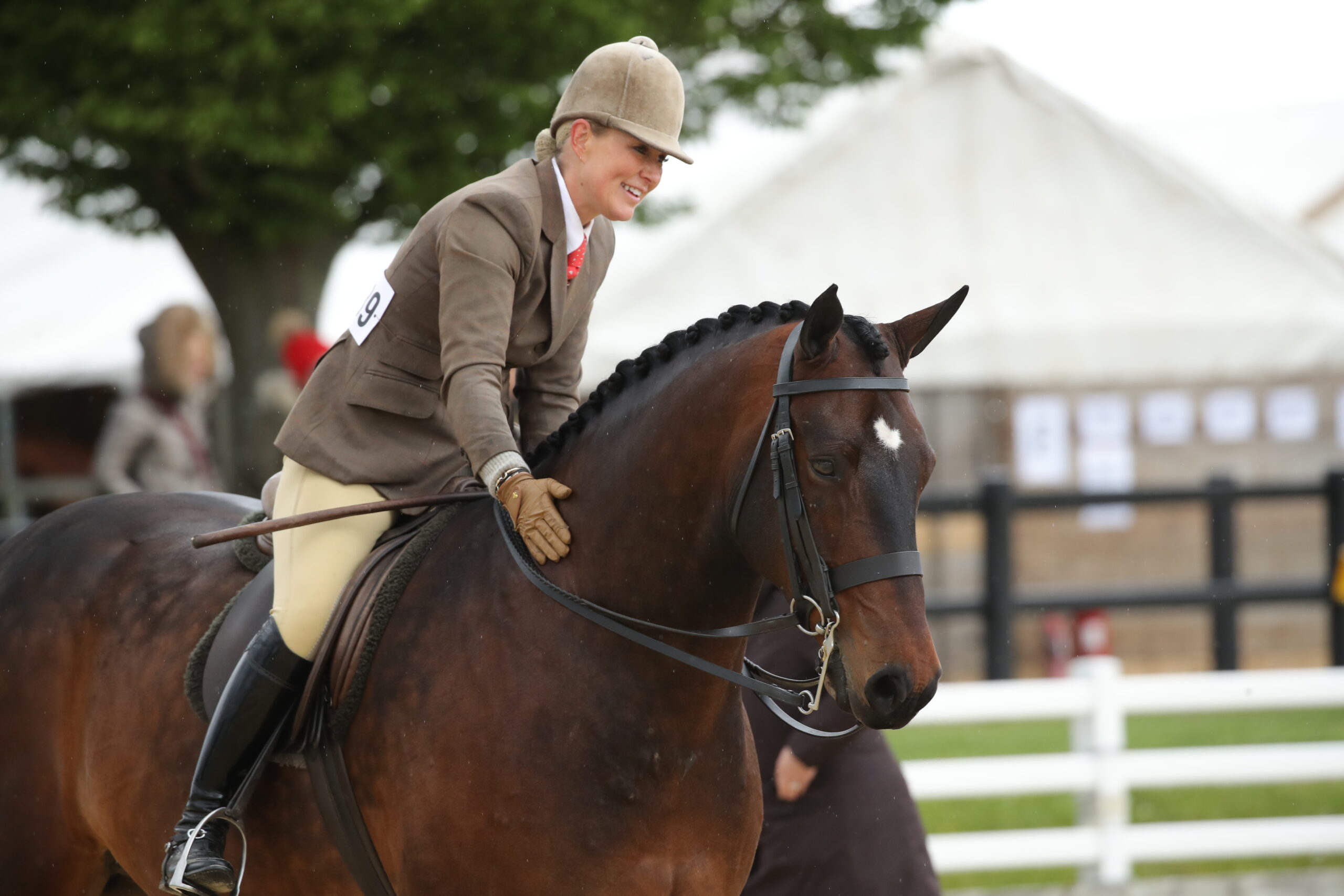 Sunday Stoneleigh Horse Show